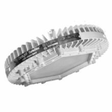 Dialight HEDGMC4GNSNG High Efficiency High Bay Fixture, LED Lamp, 100/277 VAC, Dual Coated Housing Finish