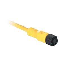 Rockwell Automation 889D-F5AC-10 DC Micro Style Standard Patch Cord, M12 Connector, 5-Pin Straight Female Connector, 32.8 ft Cable Length