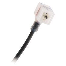 Rockwell Automation 889Z-LD2DBD-2 2-Pole Unshielded DIN Valve Cable, 20 AWG Wire, 2 m L