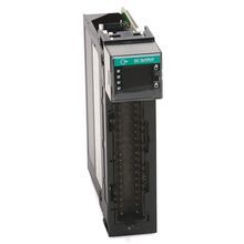Rockwell Automation 10-31 VDC Output 32 Pts (36 Pin)