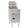 Commercial Fryers