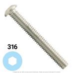1/4"-20 x 1/2" Button Head Socket Cap Screw Stainless Steel 316