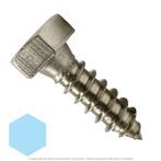 5/16" x 1" Stainless Steel Hex Lag Screw 18-8