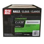 4" long 20D Common Nail 6 ga. Hot Dip Galvanized 50 lb. Box