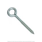 3/16" x 3" Overall Length Stainless Steel Lag Eye Bolt - 10 per Box