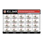 Stainless Flat Socket Cap Screw Assortment