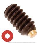 3/8"-16 x 1/4" Brass Tipped Socket Set Screw