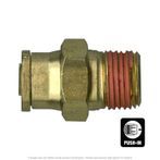 DOT Male Push-To-Connect Connector, 3/4 Tube x 1/2 MPT