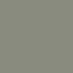 Tough Coat Enamel Spray Paint Light Machinery Gray (15 fl oz.)