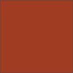 Tough Coat Enamel Spray Paint Red Oxide Primer (15 fl oz.)