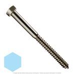 1/4" x 6" Stainless Steel Hex Lag Screw 18-8