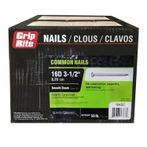 3-1/2" long 16D Common Nail 8 ga. Hot Dip Galvanized 50 lb. Box