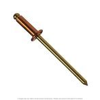 1/8" Diameter x 1/4" Grip Copper/Brass Blind Rivet
