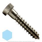 3/8" x 2" Stainless Steel Hex Lag Screw 18-8