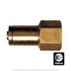 DOT Female Push-To-Connect Connector, 1/4" Tube x 1/8" FPT