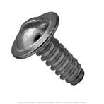1/4" x 5/8" Slotted Round Washer Head License Screw - 100 per Box