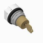 Allen-Bradley 800T-J6906KC1 800T PB, 30 mm Selector Switch, 3 Position Selector Switch, KC1 Cam, No Guards - on Terminals, No Block This Posi tion, Spr Ret-Rt, Lock-Lft, Std. Key, D429, Device with Packaging