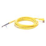 Rockwell Automation 889P-R4AB-2 Pico Style Standard Patch Cord, M8 Connector, 4-Pin 90 deg Female Connector, 6.56 ft Cable Length