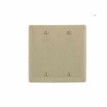 PREMISE WIRING NP23I Standard Blank Wallplate, 2 Gangs, 4.63 in H x 4.69 in W, Nylon, Ivory