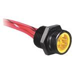 Allen-Bradley 888N-M4AF1-6F Receptacle, Mini, Straight Male, Straight Male, 4 Pin, 16 AWG PVC, IEC or US or Auto, US Color Code, 1/2 x 14 NPT, Additional lengths, 6.00 EA , Standard Materials