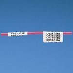 Panduit® N050X075CBC P1™ Die-Cut Non-Laminated Blank Component Label, 3/4 in L x 1/2 in W, White Legend/Background, Vinyl