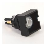 Rockwell Automation 800B-EPD Large Square Pushbutton/Pilot Light Operator