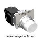 Siemens 49SPL0HWF Finger-Safe Transformer Pilot Light, 120 VAC, Rear Mounting
