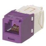 Panduit® CJ688TGVL-24 TX6™ PLUS 8-Position 8-Wire TG Style Universal UTP Jack Module, Cat 6/Mini-Com® Module, 1 Ports