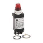 Rockwell Automation 800T-PS16A Small Pilot Light, 120 VAC