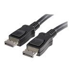 Allen-Bradley 6200V-DPCBL2M DisplayPort to DisplayPort Cable,  2m