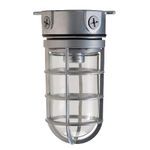 Hubbell® Vaportite® VWGG-150 Lighting Fixture With Globe and Guard, (1) Incandescent Lamp, 120 VAC, Platinum Silver Housing