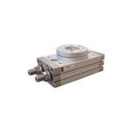 SMC® MSQB20A MSQ Rotary Table, M5x0.8 Female Port