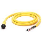 Rockwell Automation 889N-M4AFC-6F Mini-Plus Style Standard Patch Cord, Straight Male Connector, 6 ft Cable Length