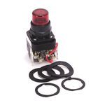 Rockwell Automation 800H-PRTH16R Pilot Light, 120 VAC