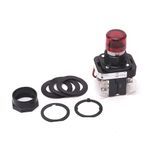Rockwell Automation 800H-QRT20R Pilot Light, 240 VAC/VDC