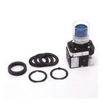 Rockwell Automation 800H-QRAH2B Illuminated Pushbutton, 30.5 mm, 1NO-1NC Contact Configuration, Extended Head with Guard Operator, Blue
