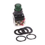 Rockwell Automation 800H-PRT16G Pilot Light, 120 VAC