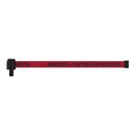 Banner Stakes PL4152 PLUS Red "Danger - Entrée Interdite" Banner, Includes: 1 PLUS Banner Head, Belt Length 15 ft, Suitable for Indoor/Outdoor Use