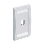 Panduit® Mini-Com® CFPE1WHY Executive Flat Vertical Faceplate, 1 Gang, 1 Port, Mini-Com® Module, Flush Mount, ABS