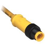 Rockwell Automation 889D-F4AC-7 DC Micro Style Standard Patch Cord, M12 Connector, 4-Pin Straight Female Connector, 22.96 ft Cable Length