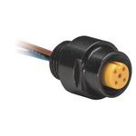 Rockwell Automation Receptacle, DC Micro (M12), Female, Straight, External Threads, 5-Pin, 18AWG, 1 meter (3.28 feet)