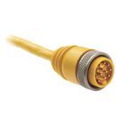 Allen-Bradley 889N-F12ACNU-12 Mini Cable, Female, Str., Female, Str., Std Materials, 12 Pins, 12 Pins, Mini / Mini Plus, Male, Str.(int. threads), Mini, Str., Male(Int. Threads), Same as First End, PVC Cbl, Yellow, UnShld, 22AWG, Patchcord, 12 m