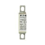 Bussmann 170N3437 Fast Acting High Speed Fuse, 65 A, 660 VAC, 200 kA Interrupt, Square Body