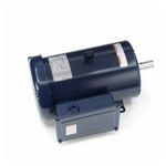 Marathon® 184TBFW7737 4-Pole Continuous Duty AC Motor, Farm Duty Motors Application, Capacitor Start Motors Special Features, 5 hp, 230 VAC, 60 Hz Frequency, 1 Phase, 184T Frame, 1755 rpm Speed, Surface Mounting, TEFC Enclosure