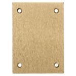 PREMISE WIRING S3813 Blank Rectangular Floor Box Cover, 4.35 in L x 3.1 in W, For Use With Flush Floor Box, Brass