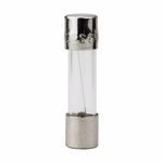 Bussmann GMA Fast Acting Electronic Fuse, 3 A, 125 VAC, 100 A, Cylindrical Body