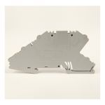 Rockwell Automation Spring Clamp Terminal Block,Analog Loop Control Block with 2 Feed-Through Circuits and 1 Ground Connection,2.5 mm (# 22 AWG - # 14 AWG),Standard Feedthrough,Gray (Standard),
