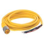 Rockwell Automation 889N-U8AF-5 Mini-Plus Style Standard Patch Cord, Straight Male Connector, 16.4 ft Cable Length