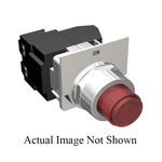 Siemens 49SPLPBRF Finger-Safe Push-to-Test Transformer Pilot Light, 120 VAC, 30/3 A, Rear Mounting