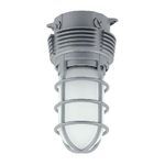 Hubbell® VBGL-1 Vaporproof Light Fixture, LED Lamp, Gray Powder Coated Housing